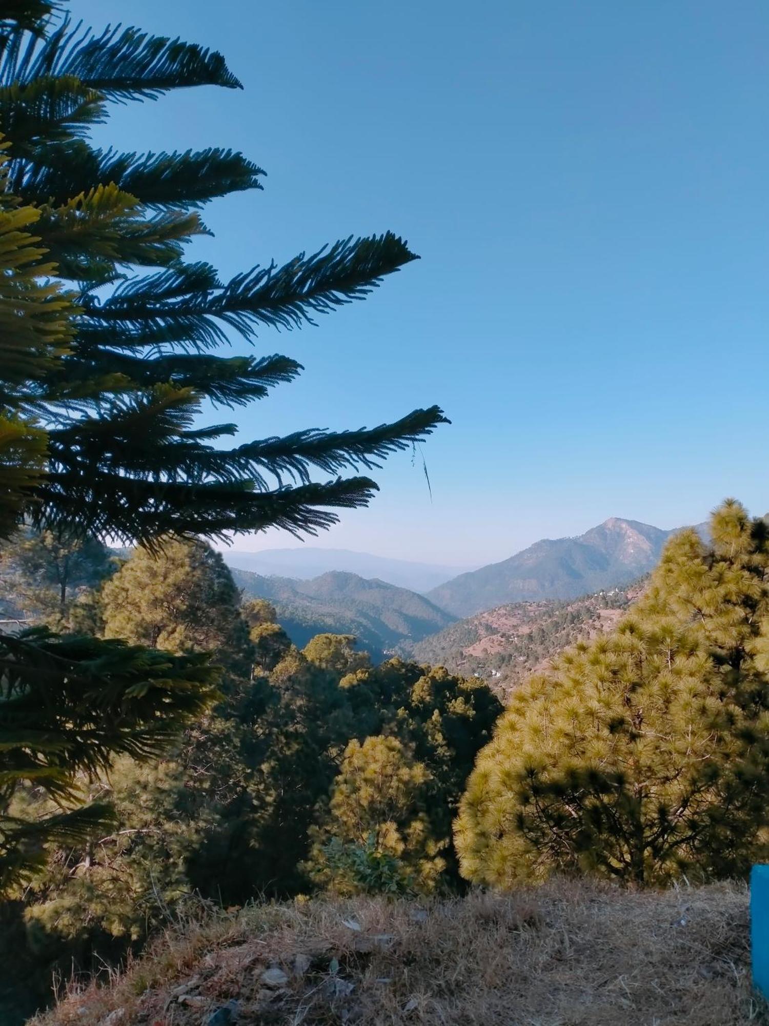 Shree Home Stay Dwarahat Buitenkant foto